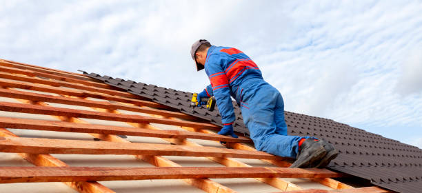 Best Steel Roofing  in Lombard, IL